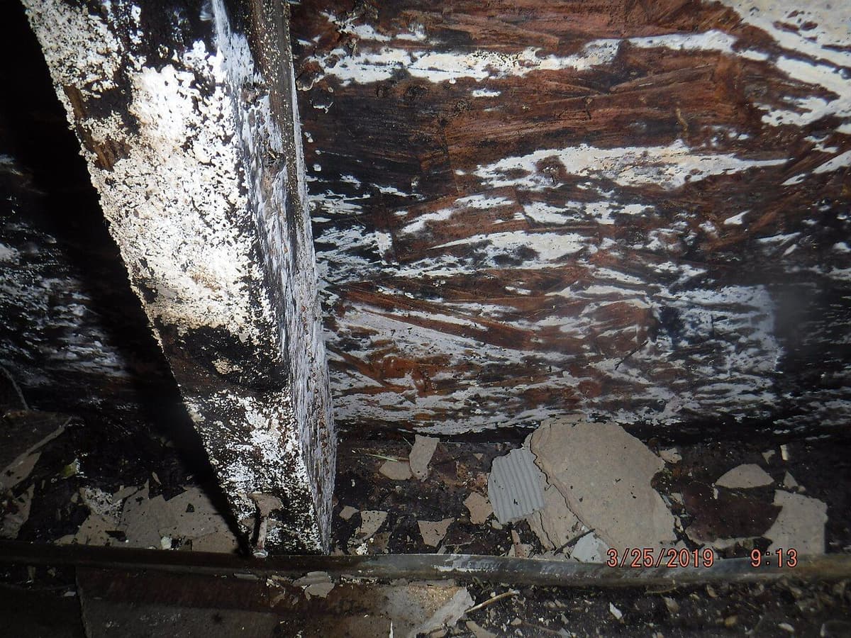 Daños de humedad y pudrición en piezas de madera de una vivienda
