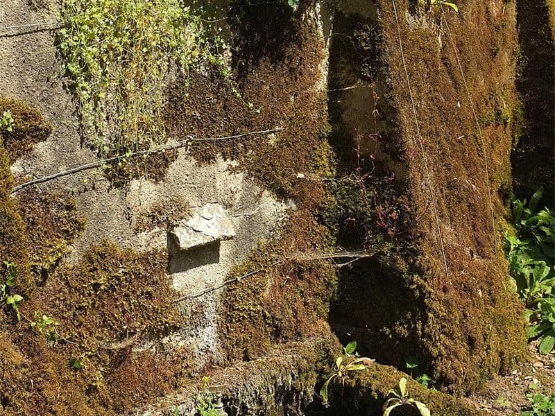 Grifo de exterior de jardín en un muro