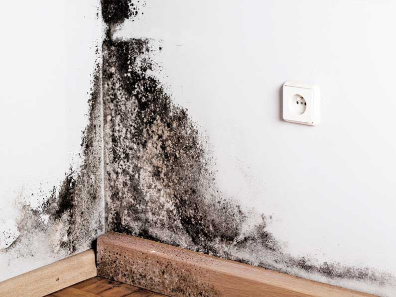 Moho negro creciendo en esquina de pared con humedad