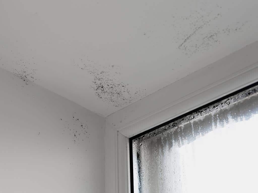 Habitación con manchas de humedad en paredes