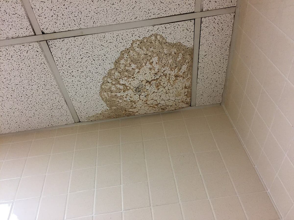 Mancha de agua en un techo con la pintura descascarillada